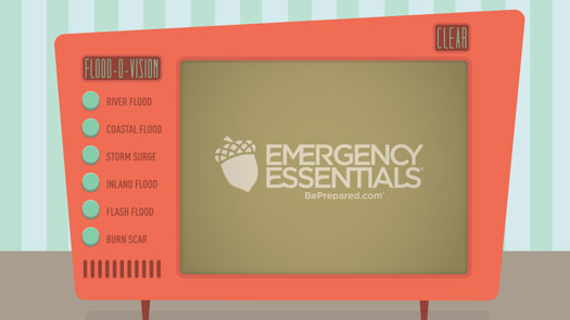 Flood Prep Video